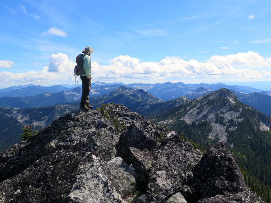 Trout Lake To Pyramid Pass loop